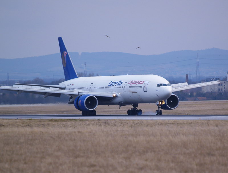 08.jpg