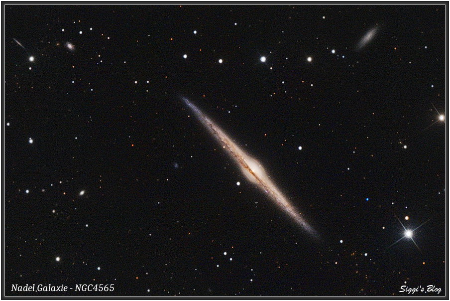200421 NGC4565 Nadelgalaxie / Spindelgalaxie