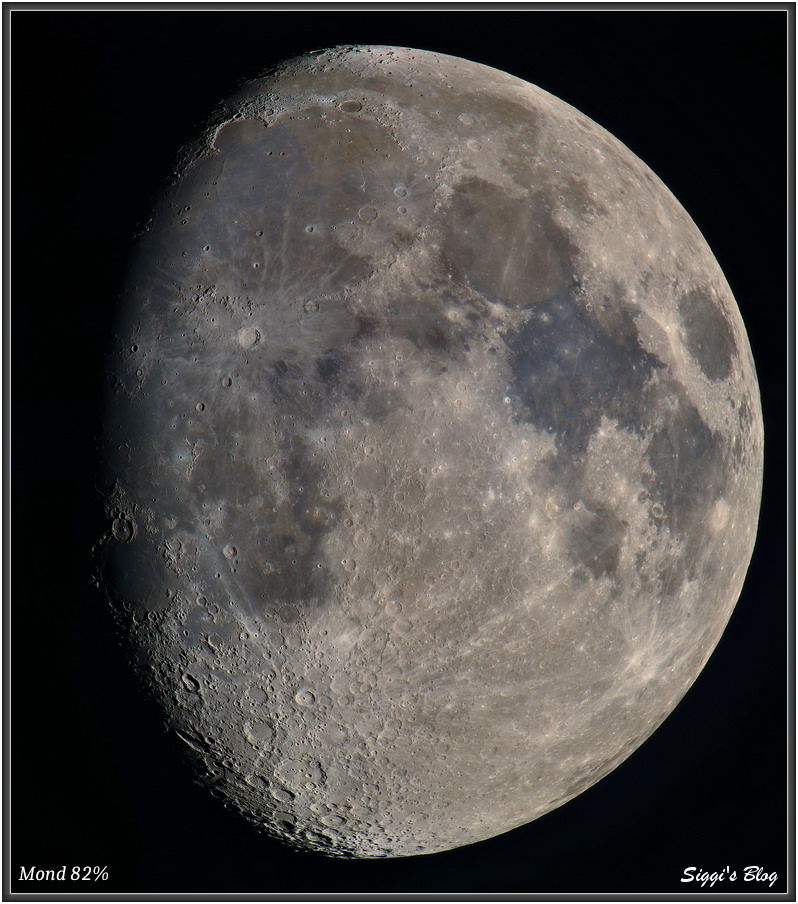 200503 Mond81,7% 