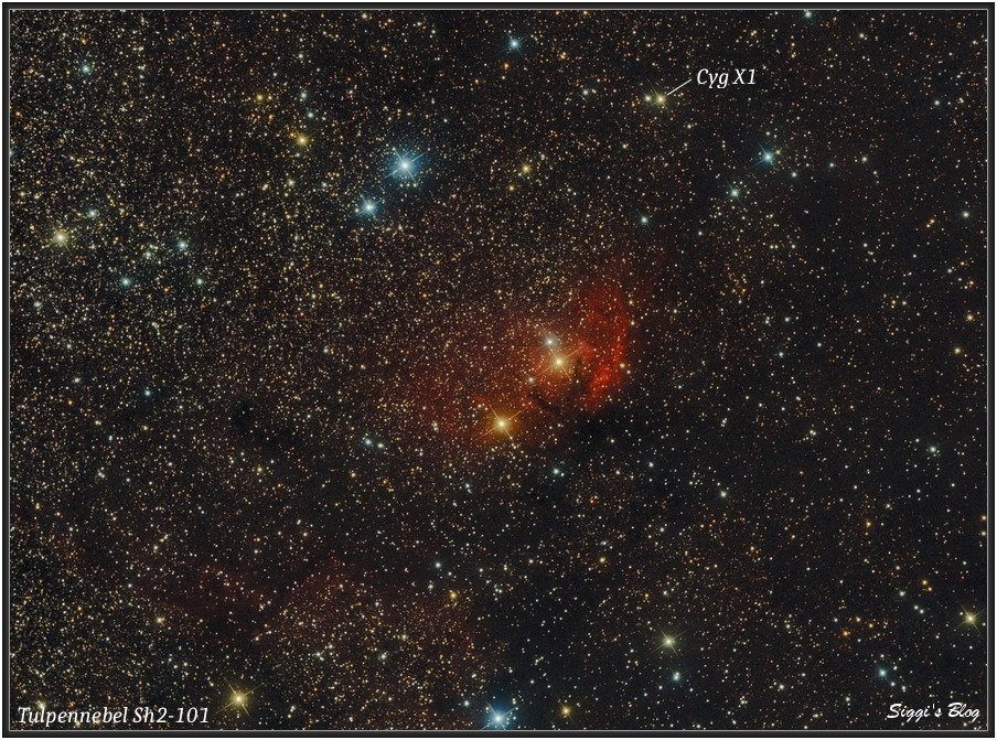 200820 Tulpennebel (Sh2-101) & Cygnus-X1 200820 Tulpennebel (Sh2-101) & Cygnus-X1