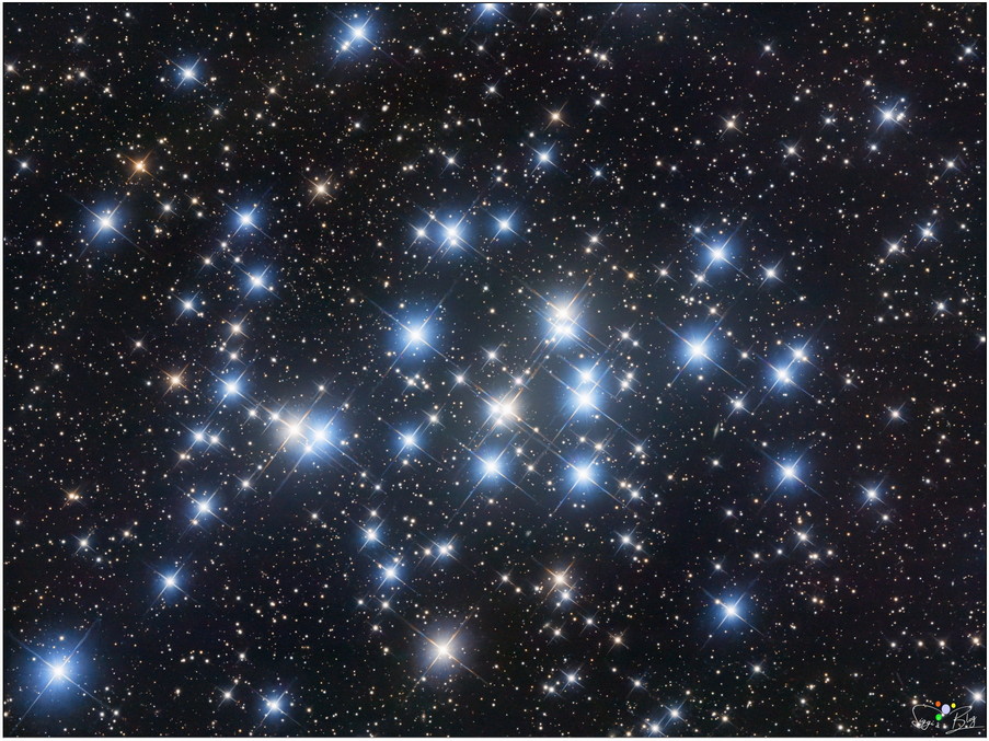 250303 M44 - Bienenkorb Haufen 250303 M44 - Bienenkorb Haufen