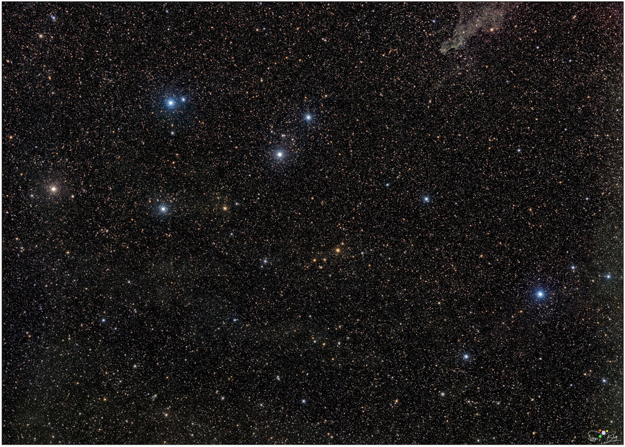 250920 Delphin / Del