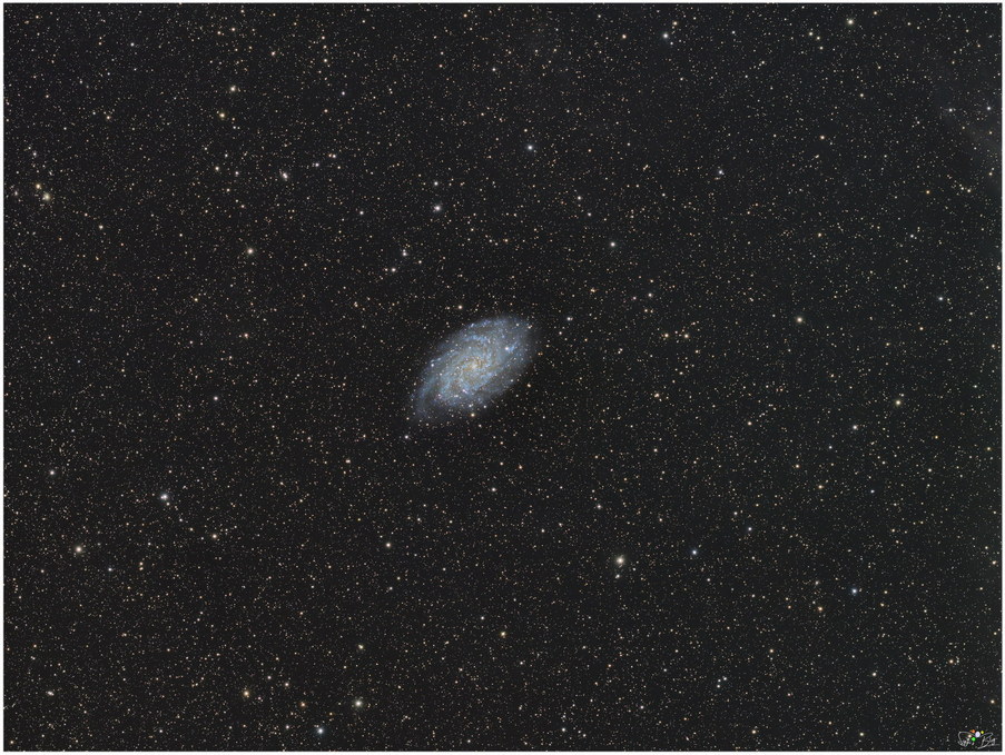 251024 Dreiecksgalaxie / M33 251024 Dreiecksgalaxie / M33