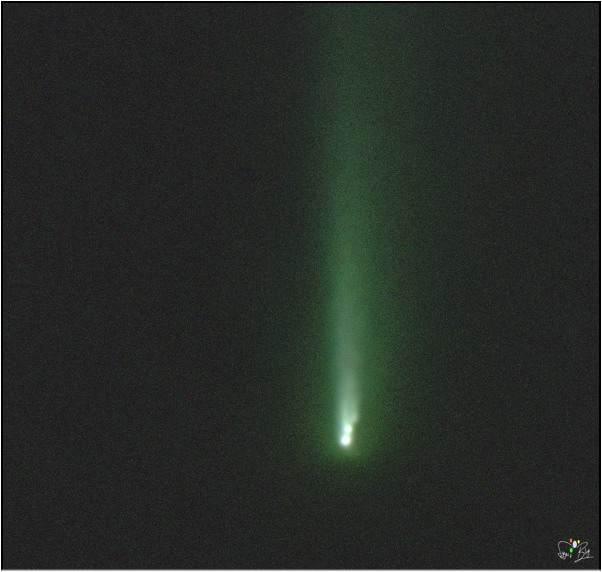 251123 C/2025 K1 (ATLAS) Crop 251123 C/2025 K1 (ATLAS) Crop