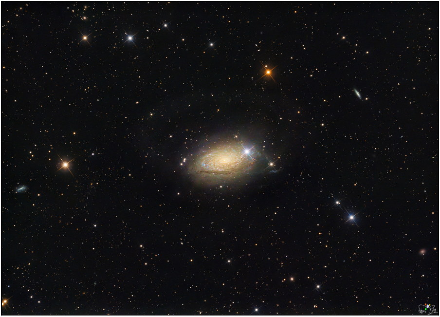 2604 - 2304-2404 M63 - Sonnenblumengalaxie 2604 - 2304-2404 M63 - Sonnenblumengalaxie