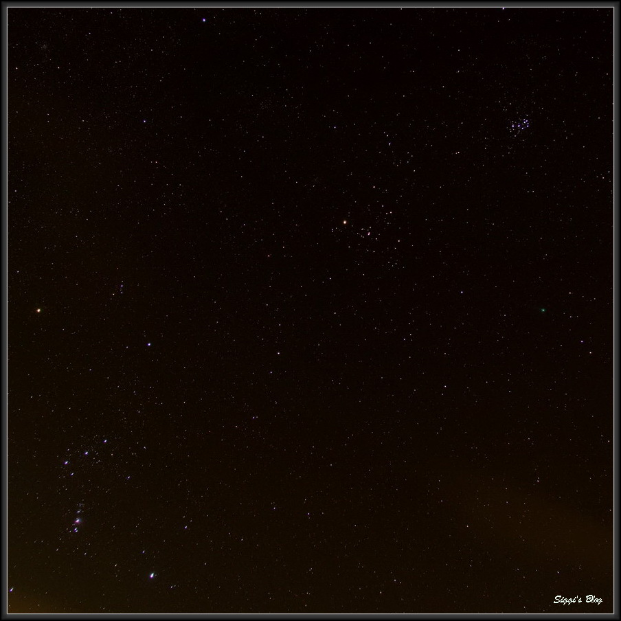 Orion- Stier