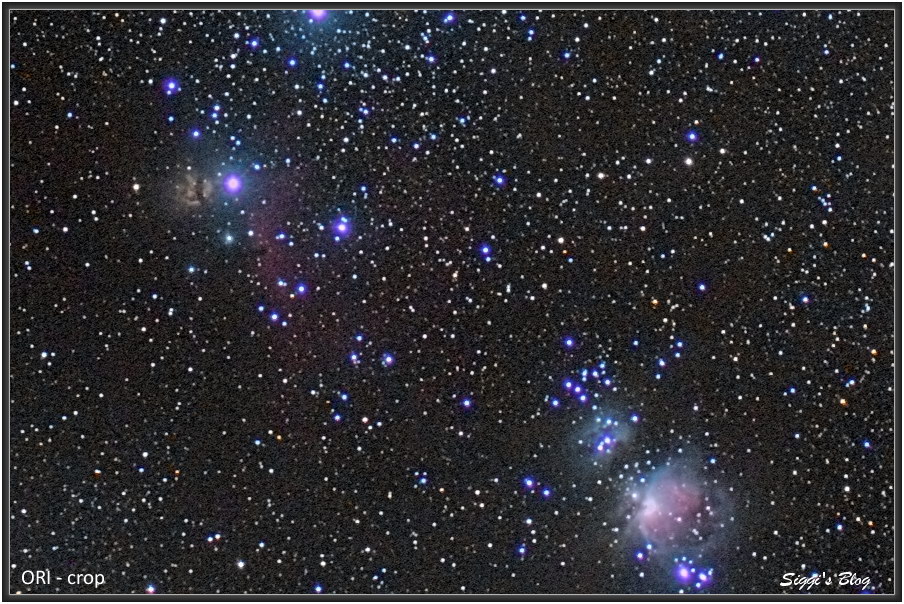 151230 ORI - crop 1:1 aus 30mm Bild 151230 ORI - crop 1:1 aus 30mm Bild