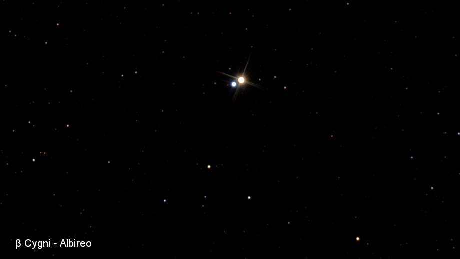 Albireo Albireo