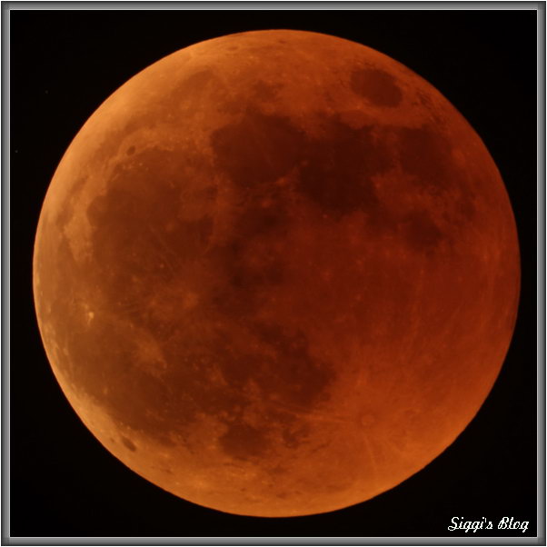 180728 MoFi_totale_9F24 180728 MoFi_totale_9F24