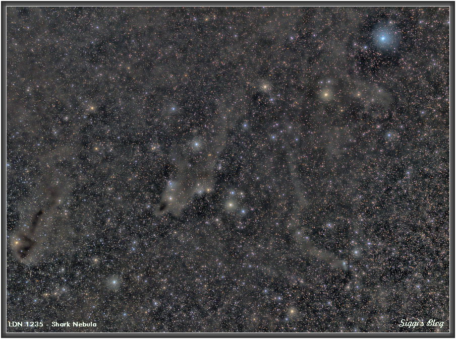 181012 LDN 1235 - Haifisch Nebel / Shark nebula 181012 LDN 1235 - Haifisch Nebel / Shark nebula