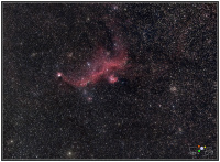 220223 IC2177 Möwen Nebel