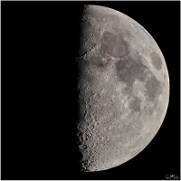 260126 Mond 55,9%