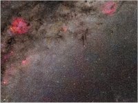 260905 Cepheus - Eidechse (Peg - Lac)