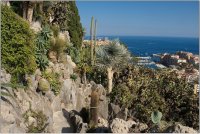 Jardin Exotique