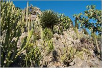 Jardin Exotique