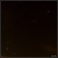 Orion- Stier