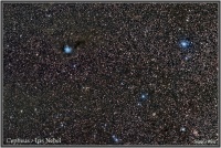 170825 Iris Nebel im Cepheus - Widefield