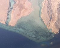 Ras Muhammad - Sinai - Egypt