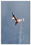 F-16 AM Fighting Falcon