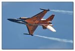 F-16 AM Fighting Falcon