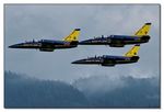 Breitling Jetteam