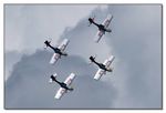 Flying Bulls Aerobatics Team