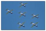 Krila Oluje (Wings of Storm) auf PC-6