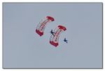 Red Bull Skydive Team
