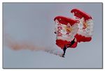 Red Bull Skydive Team