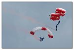 Red Bull Skydive Team