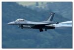 F-16 AM Fighting Falcon