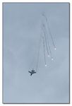 F-16 AM Fighting Falcon