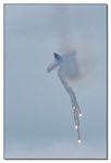 F-16 AM Fighting Falcon