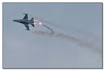 F-16 AM Fighting Falcon