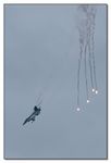F-16 AM Fighting Falcon