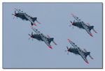 Team Orlik