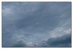 Patrouille Suisse