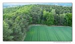 &Uuml;ber W&auml;lder und Felder - immer der Luftstr&ouml;mung nach