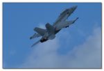 Boeing F/A-18F Super Hornet