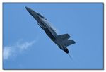 Boeing F/A-18F Super Hornet