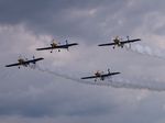 Flying Bulls Aerobatics Team