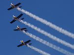 Flying Bulls Aerobatics Team