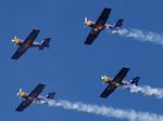 Flying Bulls Aerobatics Team