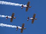 Flying Bulls Aerobatics Team
