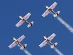 Flying Bulls Aerobatics Team