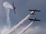 Flying Bulls Aerobatics Team