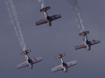 Flying Bulls Aerobatics Team