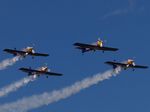 Flying Bulls Aerobatics Team