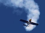 Flying Bulls Aerobatics Team