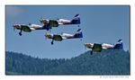 Flying Bulls Aerobatics Team